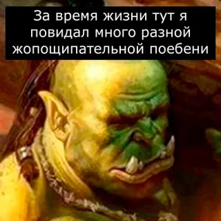 🙀 За время жизни тут я повидал много разной жопощипательной поебени orc, fantaisie, monstre, peaux-vertes, Warhammer telegram sticker