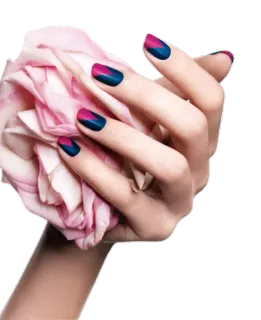 🌷 рука, ногти, роза, маникюр, красота, розовый, синий telegram sticker