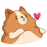 😘 hond, liefde, kus, schattig, corgi telegram sticker