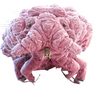 💜 microscopic, insect, bug, pink, magnified, science, biology telegram sticker