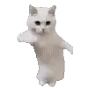 🕺