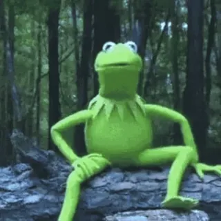 💦 Kermit 科米蛙, 青蛙, 表情包, 木偶, 布偶, 动物 whatsapp sticker