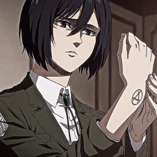 ❕ Mikasa Ackerman Attack on Titan 三笠, 动漫, 角色, 阿克曼, 进击的巨人, 军事, 漫画 telegram sticker