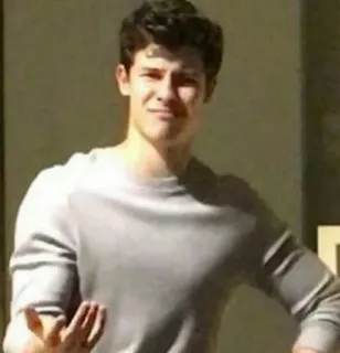 😐 Shawn Mendes shawn mendes, celebrity, singer, meme, man, person telegram sticker