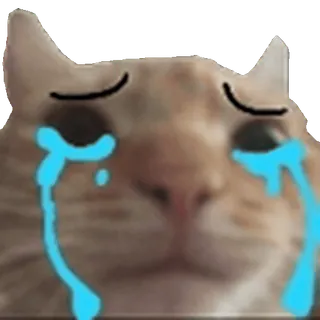 😭