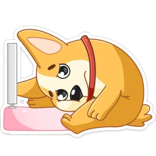☹️ chien, corgi, mignon, triste, animal de compagnie, animal whatsapp sticker