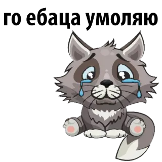 😀 Го ебача умо 猫, 悲しい, 泣く, 動物, 漫画 telegram sticker