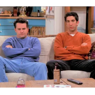 😕 Ross Geller Friends sitcom, série, Friends, anos 90, comédia, sitcom, televisão, Ross telegram sticker