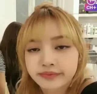 🥴 Lisa Lisa, K-Pop, Blackpink, Sängerin, Promi, Frau, Weiblich telegram sticker