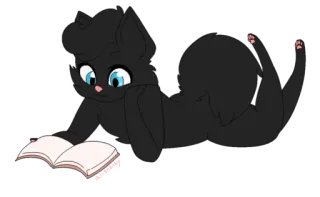 📖 cat, reading, book, cartoon, animal, cute telegram sticker