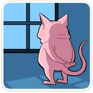 🤔 cat, sphynx cat, window, cartoon, pet, animal telegram sticker