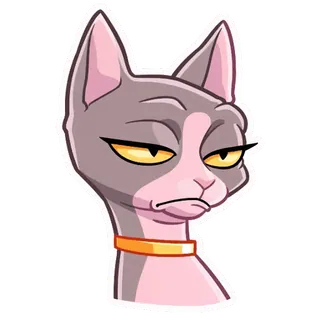🥴 kot, zwierzę domowe, zwierzę, sarkastyczny, wyrażenie whatsapp sticker