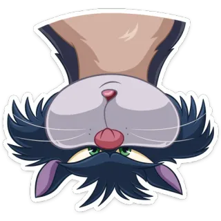 🙃 chat, animal, autocollant, dessin animé, à l'envers telegram sticker