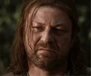 🌞 Ned Stark Game of Thrones game of thrones, ned stark, sean bean, winter is coming, série tv telegram sticker