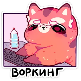 💻 Воркинг animal, gato, trabalho, digitando, óculos, teclado, fofo, desenho animado whatsapp sticker