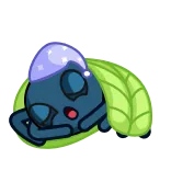 😴