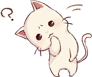 🤔 cat, question, thinking, cute, animal, confused telegram sticker