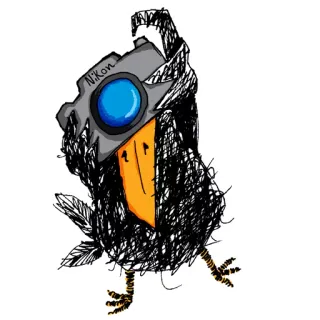📷 Nikon bird, raven, crow, camera, photographer, photography, nikon, doodle telegram sticker