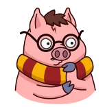 🤔 cerdo, gafas, bufanda, dibujos animados, animal, lindo telegram sticker