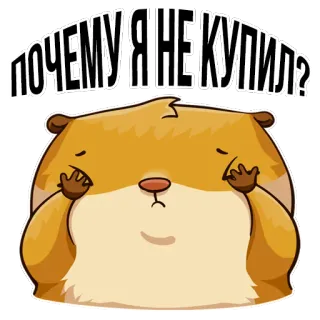 😴 ПОЧЕМУ Я НЕ КУПИЛ? แฮมสเตอร์, เศร้า, น่ารัก, คำถาม, สติกเกอร์ telegram sticker