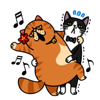 🔊 кошки, танцы, ноты, мультфильм, смешной, смокинг, животные whatsapp sticker