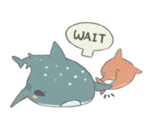 😶 WAIT tubarão, golfinho, desenho animado, fofo, animal telegram sticker