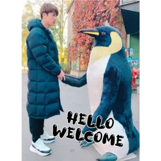 😊 HELLO WELCOME pinguïn, hallo, welkom, man, winterjas, herfst, herfst whatsapp sticker