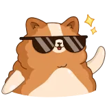 😎 hond, corgi, zonnebril, cool, sterren telegram sticker