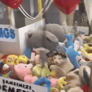 😂 pelúcia, brinquedos, máquina de ursinho, fliperama, guindaste de garra, gato whatsapp sticker