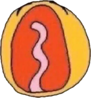 😭 whatsapp sticker