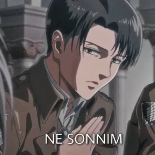 😭 Levi Ackerman Attack on Titan NE SONNIM anime, attack on titan, levi ackerman, ne sonnim whatsapp sticker
