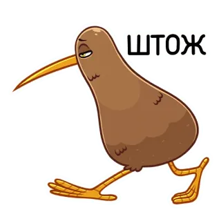 🤷‍♂️ ШТОЖ Киви (птица), Птица, Ходьба, Мультфильм, Наклейка, Животное telegram sticker