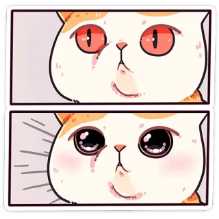 😐 kat, meme, ogen, huilen, kawaii, cartoon, emoties whatsapp sticker