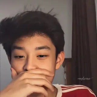 🤘 ourphxince chân dung, bé trai, thiếu niên, trẻ, người, khuôn mặt telegram sticker