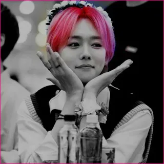 🕸 persoon, roze haar, bloemenkroon, portret, kpop telegram sticker