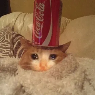 💧 Katze, weinen, Coca-Cola, Soda, traurig, Decke, Meme telegram sticker