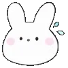 🐰