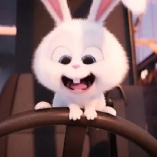 🐰 Snowball The Secret Life of Pets coelho, branco, coelhinho, fofo, animal, desenho animado whatsapp sticker