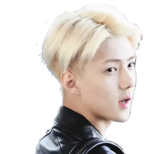 😮 Sehun sehun, kpop, exo, idol, singer, blonde hair, korean whatsapp sticker