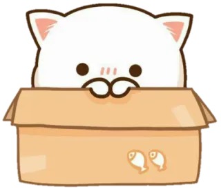 👀 gato, caja, animal, lindo, dibujo animado, mascota, felino whatsapp sticker