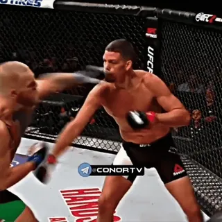 🦁 CONORTV fighting, boxing, UFC, combat sports, athletes, sports telegram sticker