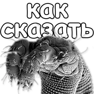 😞 как сказать russian, text, question telegram sticker