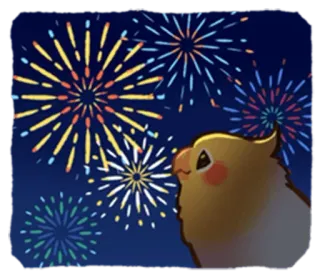 💥 fogos de artifício, calopsita, pássaro, celebração, noite, festivo telegram sticker