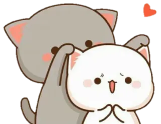 😍 kot, słodki, miłość, para, czuły whatsapp sticker