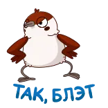 😒 bird, angry, cartoon, animal, funny, cute whatsapp sticker