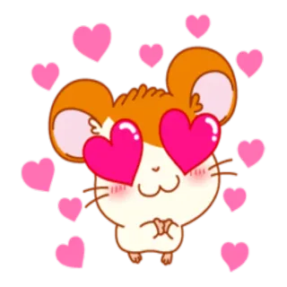 😍 chuột hamster, tình yêu, trái tim, dễ thương, hoạt hình, động vật, mắt telegram sticker