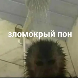 пон от @gifbyfleksid :: @fStikBot telegram stickers