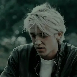 🐍 Draco Malfoy Harry Potter harry potter, draco malfoy, slytherin, tom felton telegram sticker