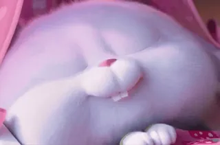 😴 rabbit, sleeping, cute, animal telegram sticker