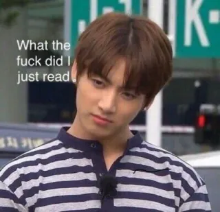 🤡 What the fuck did I just read Meme, Lustig, Reaktion, Kpop, Verwirrt, Ausdruck, Gestreiftes Shirt whatsapp sticker